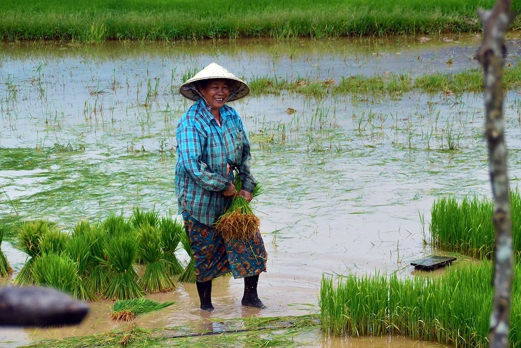Voyage L'intégrale du Laos 3
