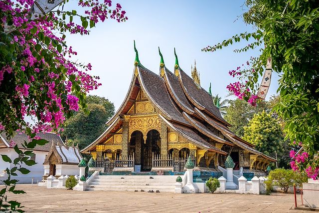 Voyage De Luang Prabang au plateau des Bolovens
