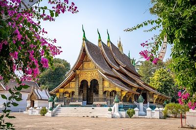 De Luang Prabang au plateau des Bolovens