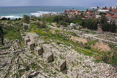 Le Château des Croisés - Byblos - Liban