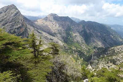 Parc naturel de Tannourine - Liban