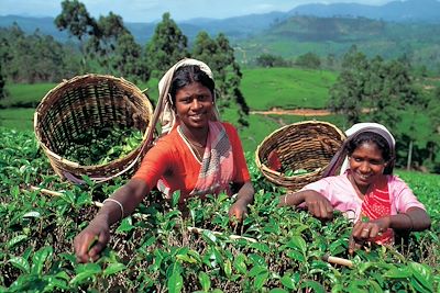 Sri Lanka