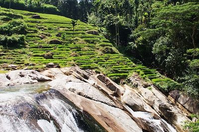 Les Monts Knuckles - Sri Lanka