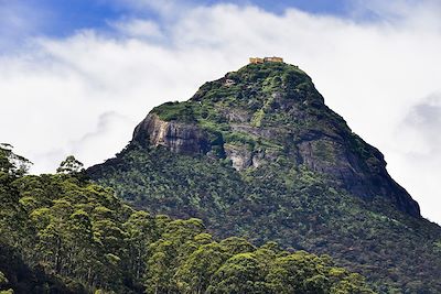 Voyage Sri Lanka