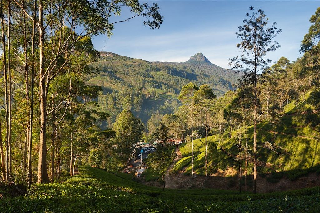 Sri Lanka : Montagne