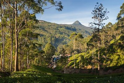 Randonnée Sri Lanka