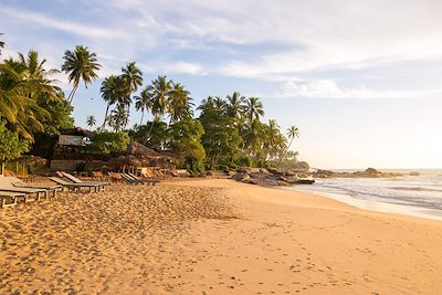 Palm Paradise Cabanas - Tangalle - Sri Lanka