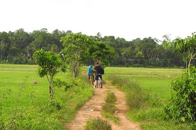 La campagne autour de Galle à vélo - Galle - District de Galle - Sri Lanka