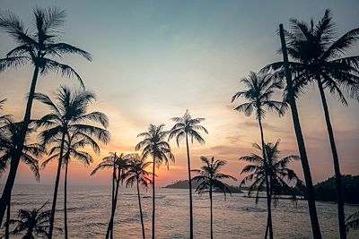 Plage – Mirissa – Sri Lanka