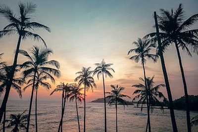 Plage – Mirissa – Sri Lanka