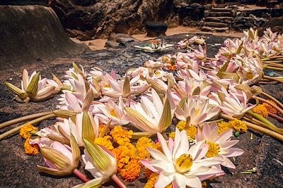 Offrandes - Sri Lanka