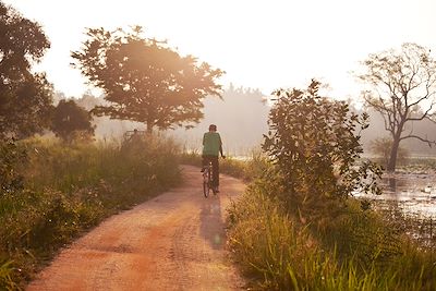 Vélo - Sri Lanka