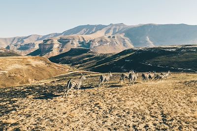 Parc national des Golden Gate Highlands - Afrique du Sud