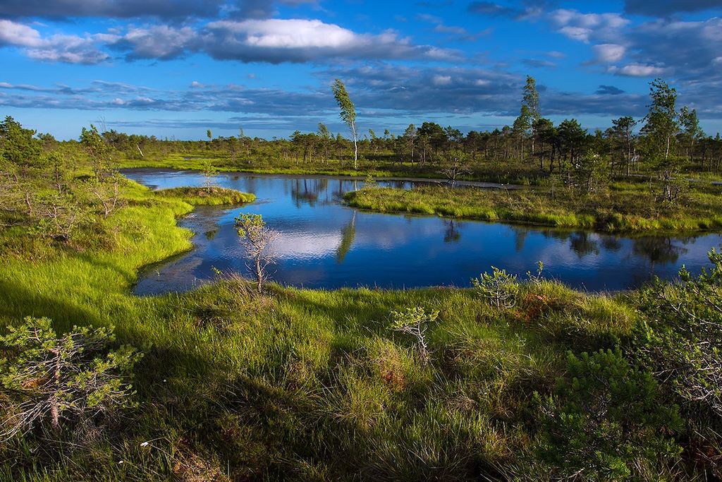 Lituanie : Forêts, collines, rivières et lacs