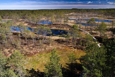 Parc national de Soomaa - Estonie