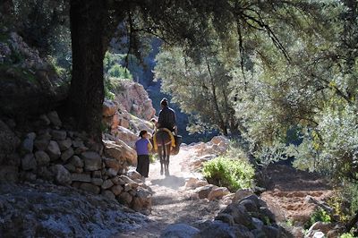 © Dar Al Hossoun - Région de Taroudant - Maroc Région de Taroudant - Maroc
