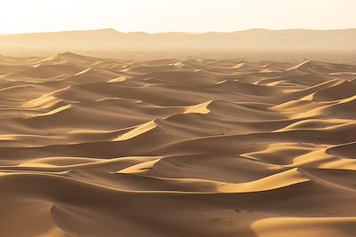 © Mathieu Dupuis - Lumière rasante à l’entrée du Sahara marocain - Maroc Lumière rasante à l’entrée du Sahara marocain - Maroc