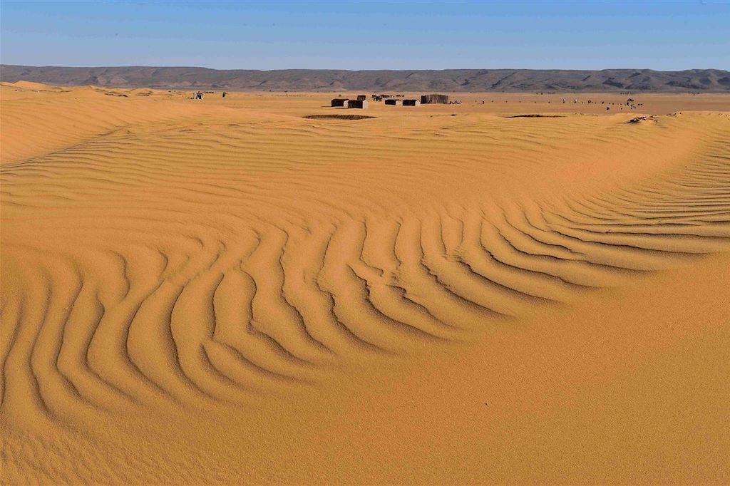 Voyage Dunes de Tazzarine et casbah du Drâa 2