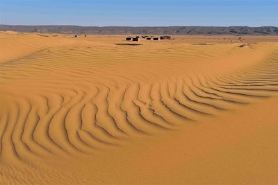 Voyage Dunes de Tazzarine et casbah du Drâa 2
