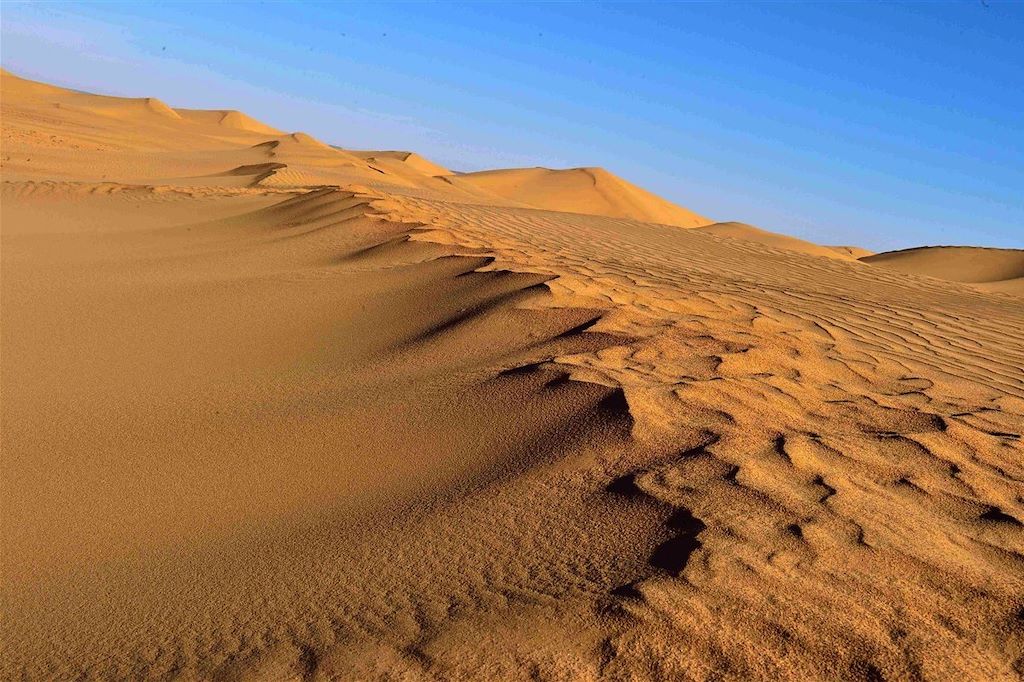 Voyage Dunes de Tazzarine et casbah du Drâa 1