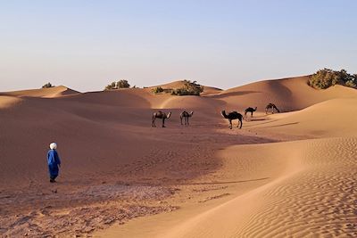 Voyage Sahara (Maroc)