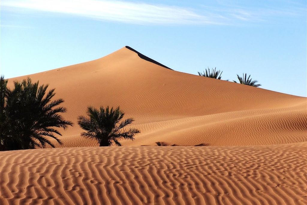 Voyage Casbah du Drâa et désert  3
