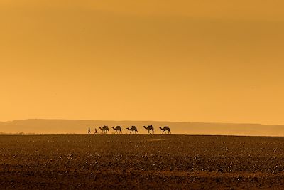 Voyage Merzouga et la vallée du Dadès 2