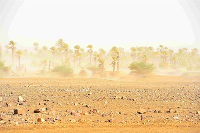 Vent de sable - Sahara - Maroc