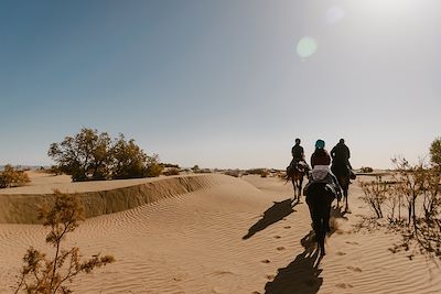 Randonnée à cheval dans le désert - Maroc