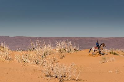 Randonne´e à cheval - Djebel Bani - Maroc