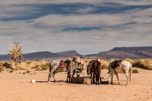 Zagora : Echappée saharienne à cheval Voyage Echappée saharienne à cheval