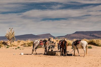 Pause près d'un puit dans le désert - Maroc