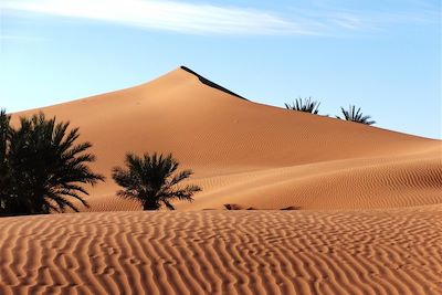 Randonnée avec chameau Maroc