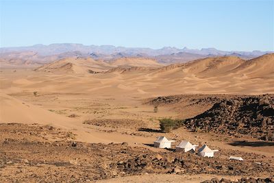 Randonnée avec chameau Maroc