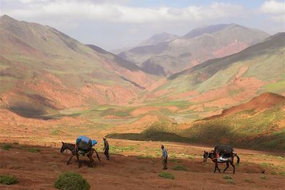 Voyage Les montagnes rouges de la Tessaout 2