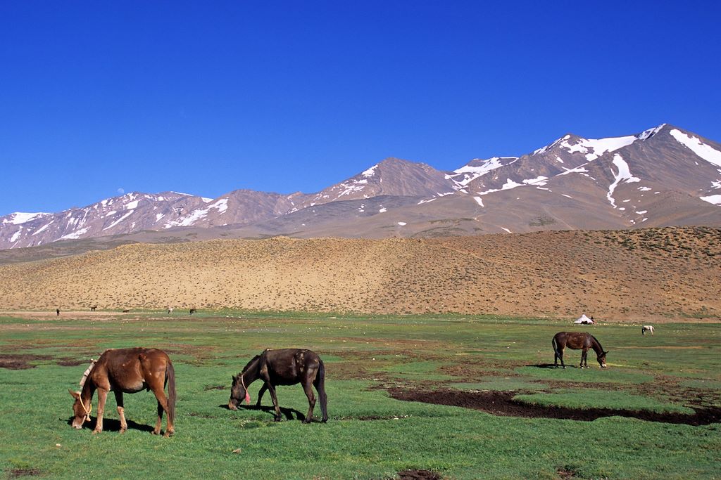 Voyage Toubkal et M'Goun, les deux sommets 3