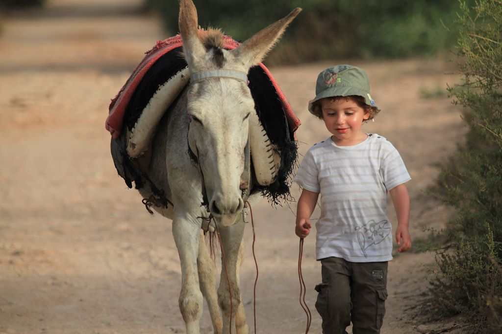 Voyage Des Berbères de l'Atlas à Essaouira  2
