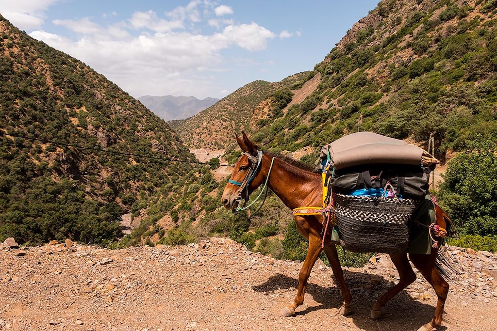 Voyage Toubkal : un sommet en famille  2
