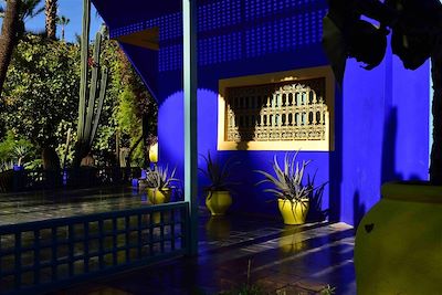 Jardin Majorelle - Marrakech - Maroc
