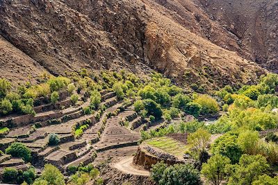 Terrasses en contrebas du village de Tizgui - Maroc