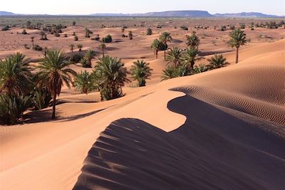 Voyage Sahara (Maroc)