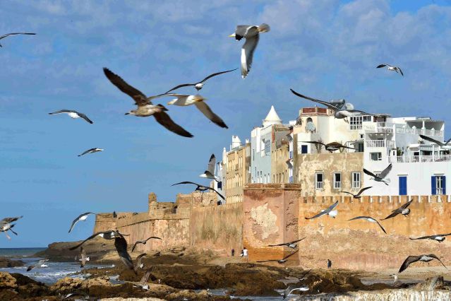 Voyage Charme et nature d'Essaouira et de sa côte sauvage