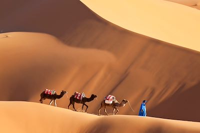 © Peter Adams / Getty Images - Chameaux et dunes - Erg Chebbi - Sahara - Maroc Chameaux et dunes - Erg Chebbi - Sahara - Maroc