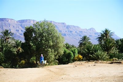 © Priscila Telmon - Palmeraie dans le vallée du Draa - Maroc Palmeraie dans le vallée du Draa - Maroc