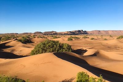 © Maëi Boucard - Désert de dunes - Maroc Désert de dunes - Maroc