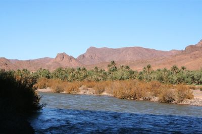 © Pascale Bouchot - La vallée du Drâa - Maroc La vallée du Drâa - Maroc