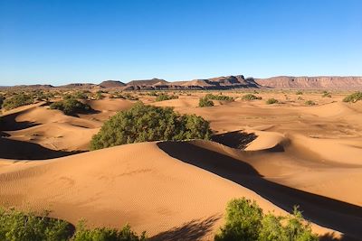 © Maëi Boucard - Désert de dunes - Maroc Désert de dunes - Maroc
