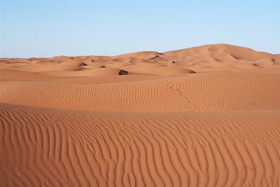 © Pascale Bouchot - Désert dans la région de Mhamid - Maroc Désert dans la région de Mhamid - Maroc