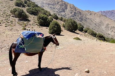 Vallée du Toubkal - Col de Tizi Mzik - Maroc