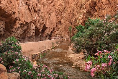 Gorge de Dadès - Maroc